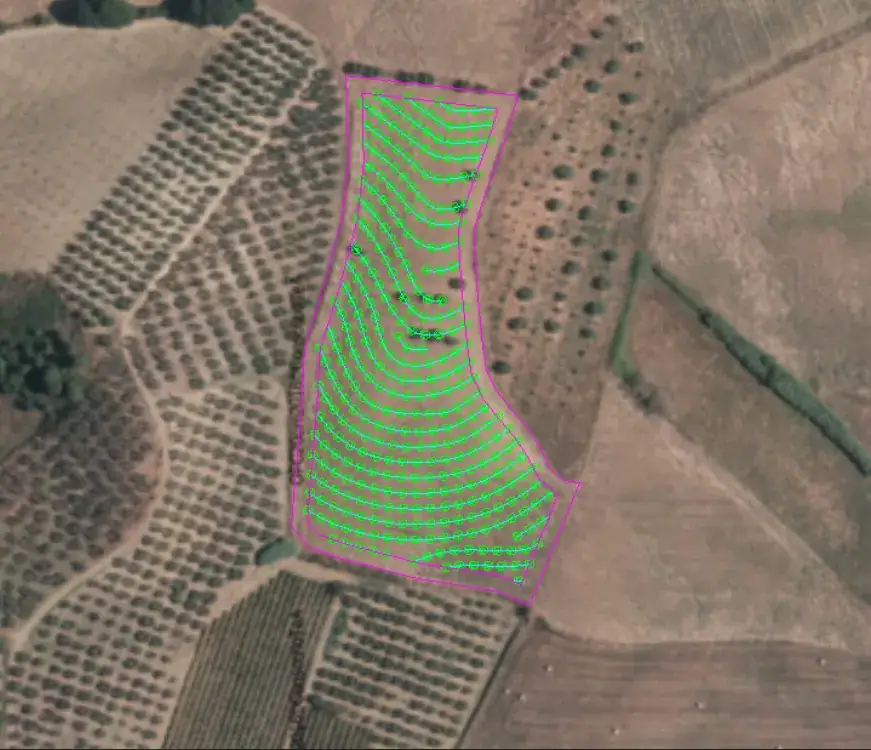 Vista da satellite di un oliveto con le linee verdi della Keyline che seguono il versante